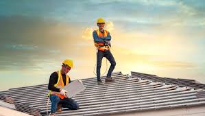 Best Roof Moss and Algae Removal  in Seeley Lake, MT